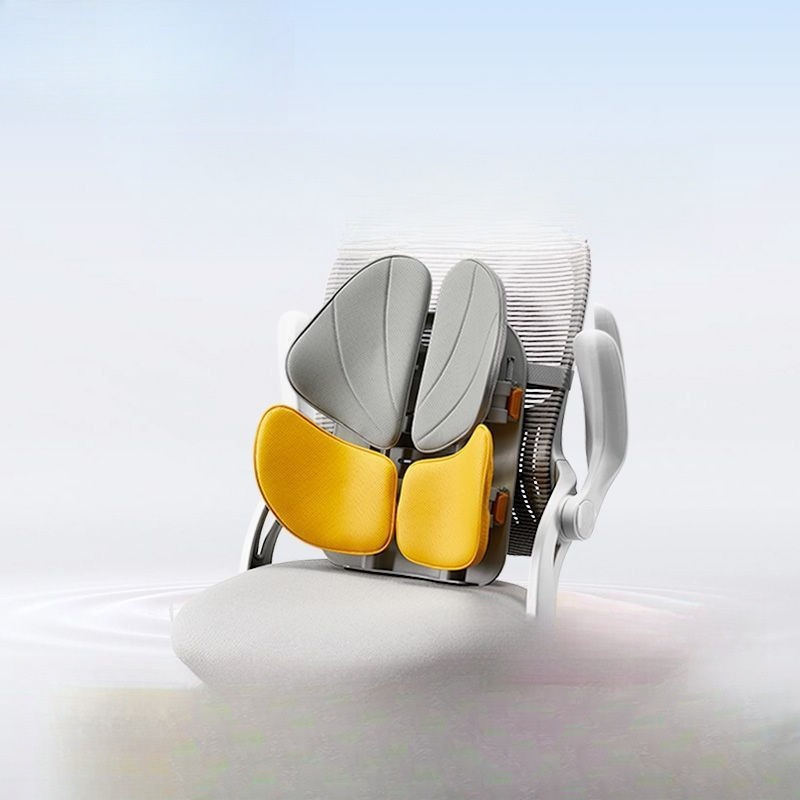 Ergonomic Back & Lumbar Support Chair – Posture Correction & Back Pain Relief