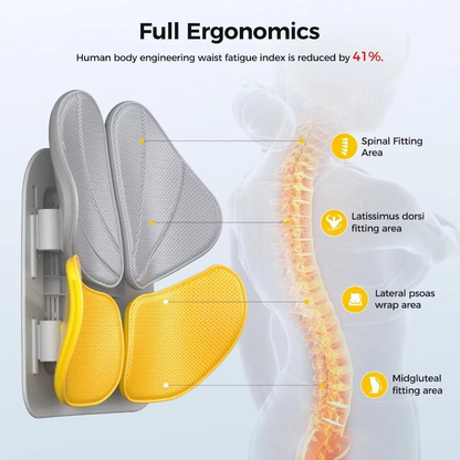 Ergonomic Back & Lumbar Support Chair – Posture Correction & Back Pain Relief